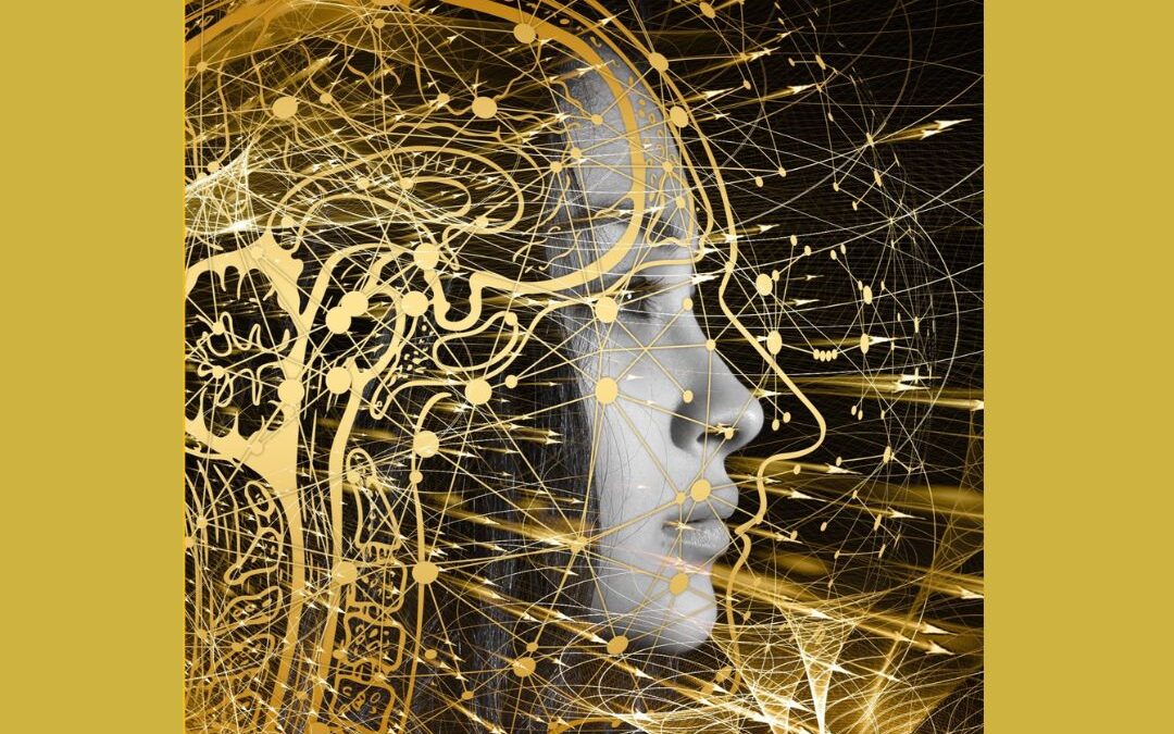 Meesters van frequenties