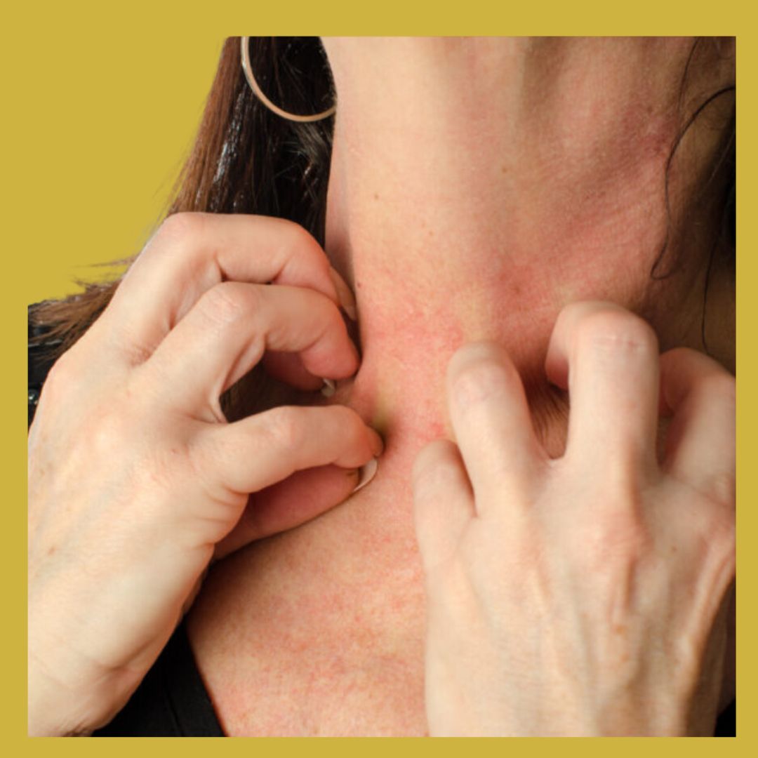 Blog afbeeldingen standaard (15)